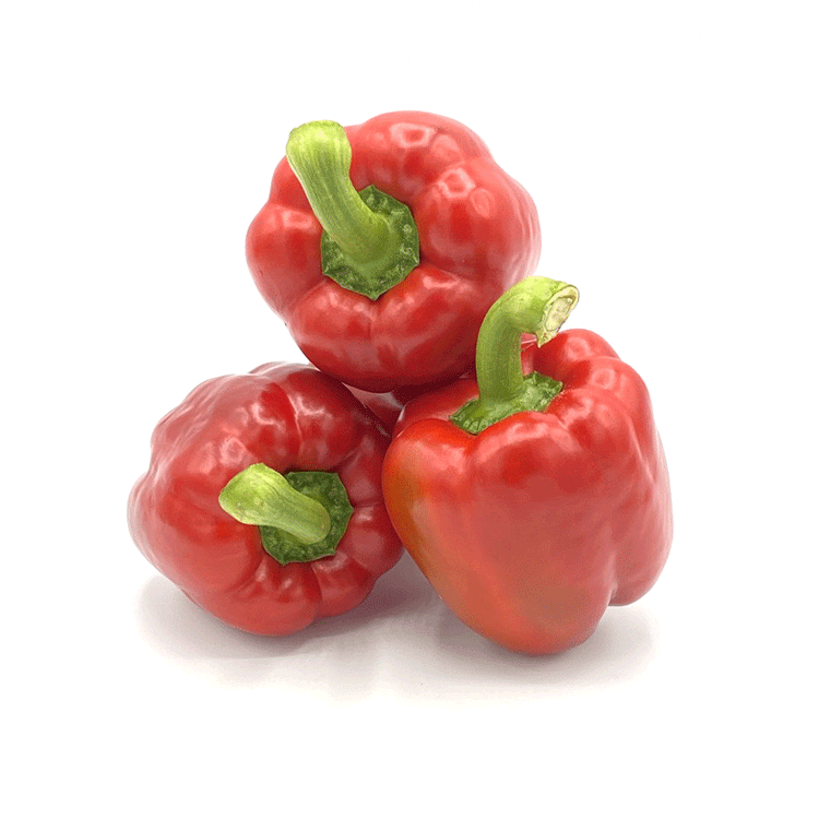 Paprika Bio